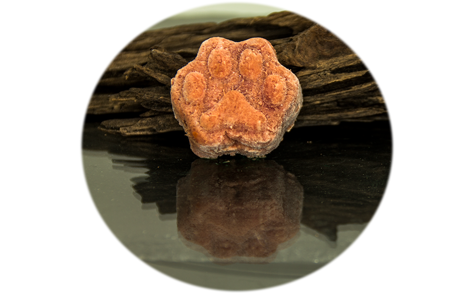 Lenny-Katzen-Patties 1000g