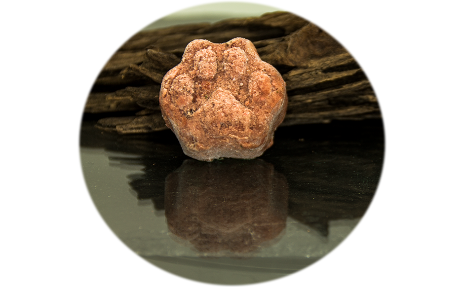 Frostgemüse für helle Hunde 1000g Portionsware