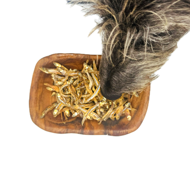 Mini Sprotten getrocknet 100g