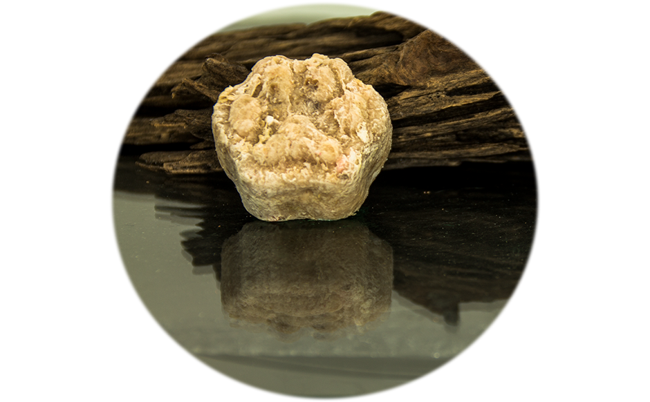 B.A.R.F.-Starter-Patties 1000g