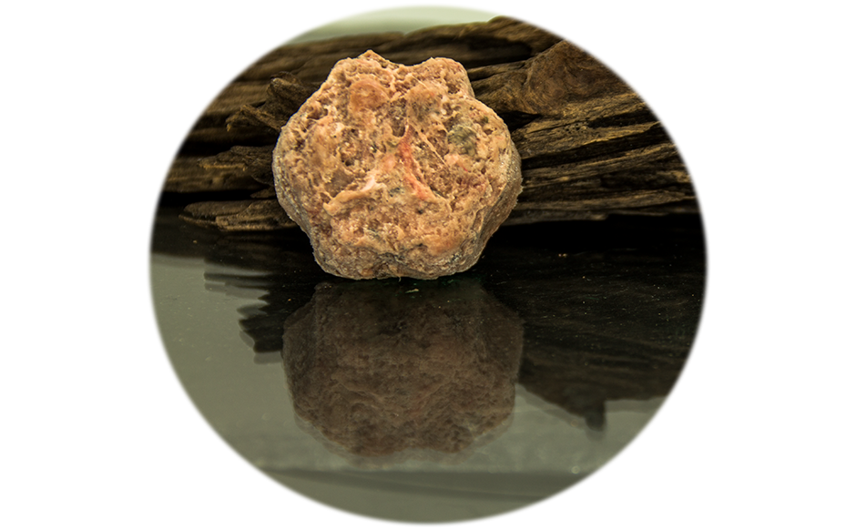 Bello-Adult Patties 1000g