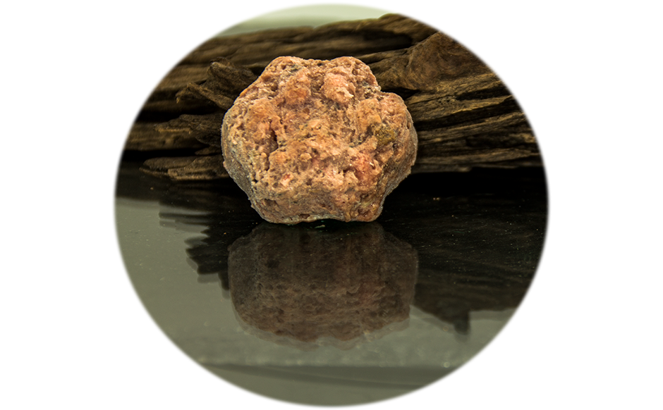 Speedy-Junior Patties 1000g