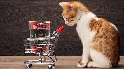 BARF Dosen in verschiedenen Geschmacksrichtungen BARF Dosen auch für Katzen geeignet