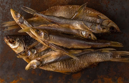 Getrockneter Fisch als BARF Leckerli für Ihren Liebling BARF Leckerchen