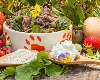 BARF Menüs für die optimale Abwechslung im Futternapf BARF Menü Hund