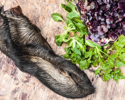 BARF Ernährung: Für ein gesundes und aktives Leben Ihres Vierbeiners Frostfleisch