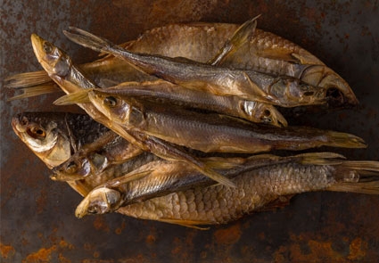 Einen getrockneten Fisch als Belohnung schlägt Ihre Fellnase garantiert nicht aus BARF Trockenfleisch Fisch