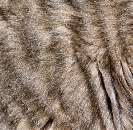 BARF Mineralien sorgen für ein schönes Fell Ihres Lieblings Katzen Vitamine