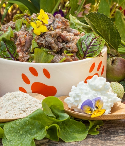 Mit einigen Regeln und Tipps kann BARF Ernährung ganz einfach sein BARF Ernährung