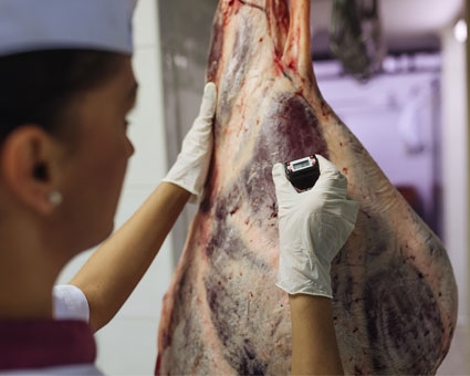 Jede Lieferung wird von unseren Mitarbeitern streng kontrolliert Qualitätskontrolle BARF Fleisch